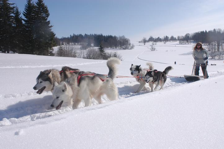 Monts Jura Chalet