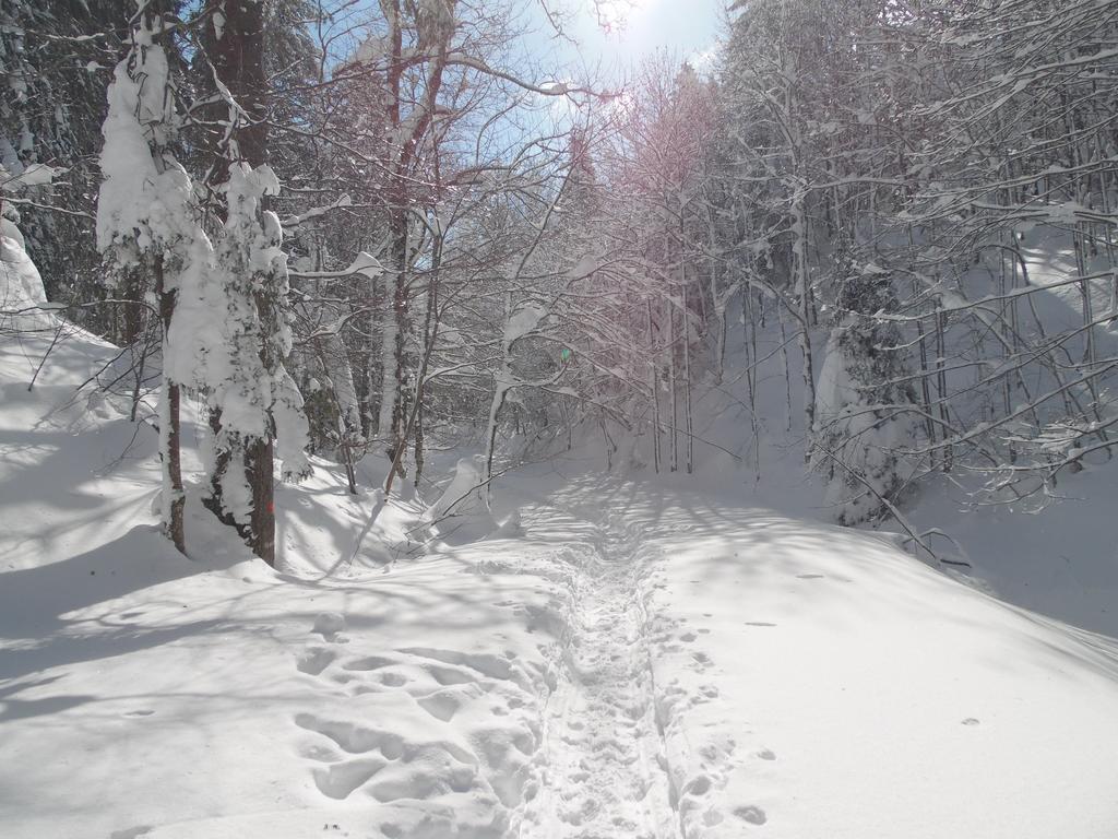 Monts Jura * Mijoux