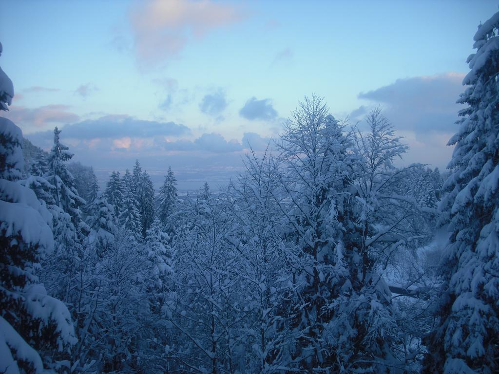 Chalet Monts Jura Mijoux